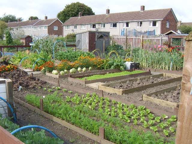 Allotment Watch Scheme to be Launched