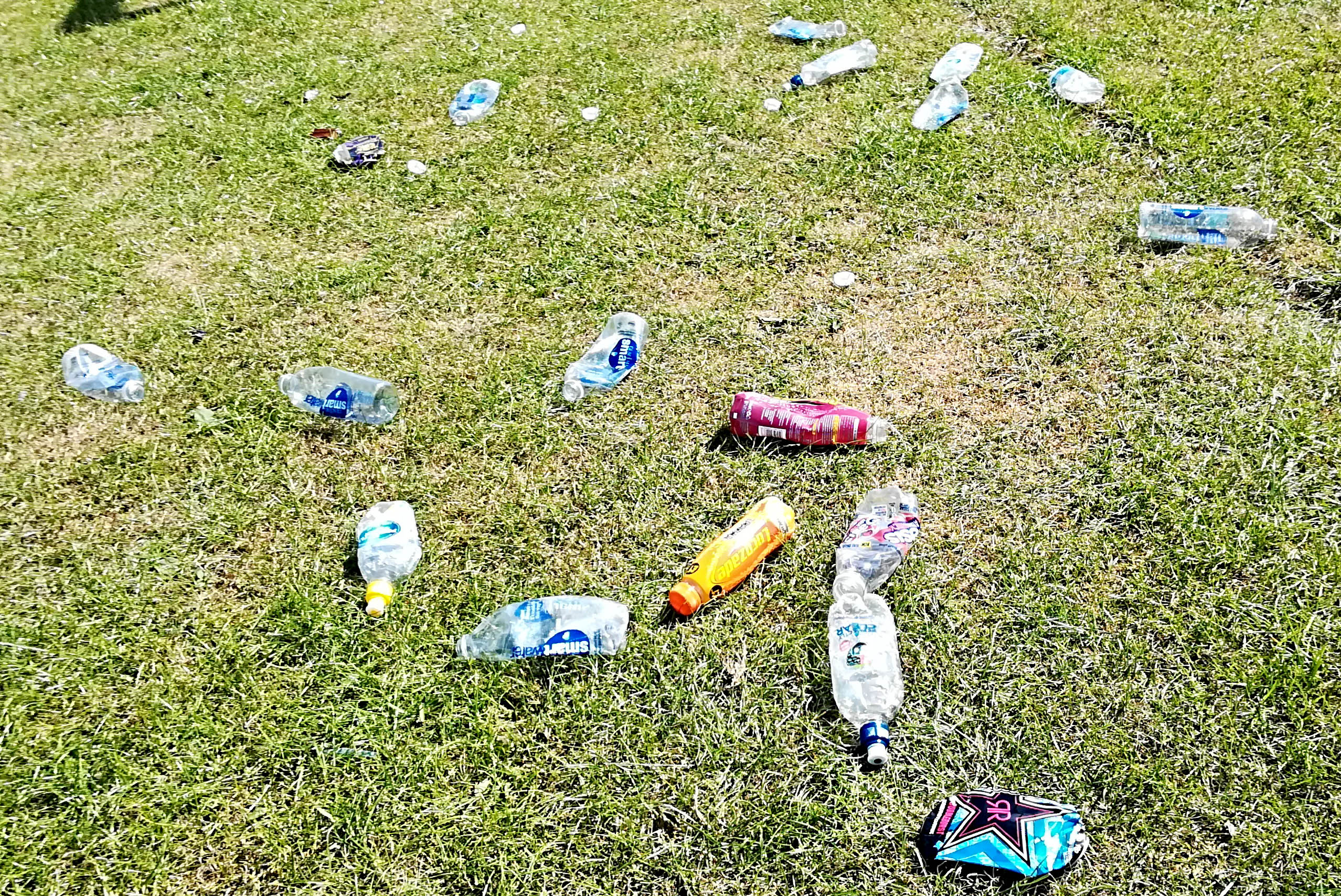 Please Stop Dropping Litter