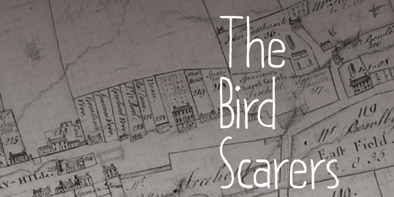 Arts Centre Welcome ‘The Birdscarers’