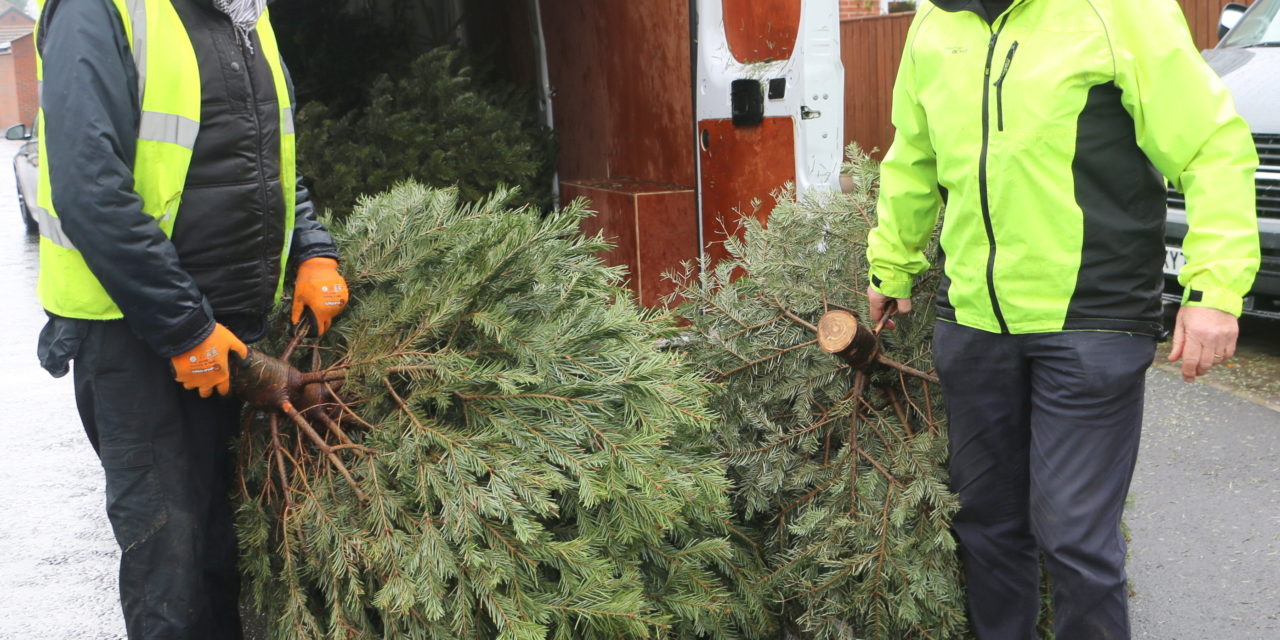 Christmas Tree Recycling Campaign launched to support local hospice.