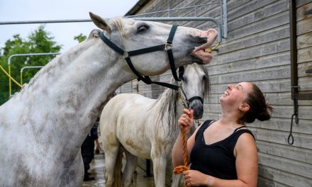 Kynren ‘Mane’ Event