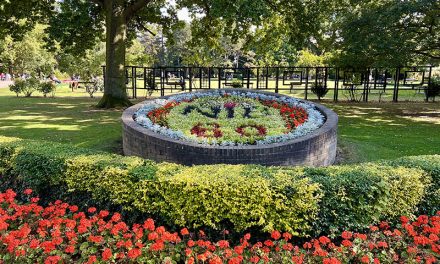 Floral Displays Go For Gold