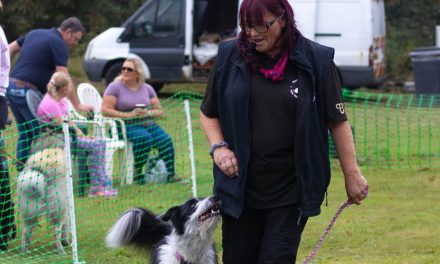 Successful Fun Show for Dog Training Club