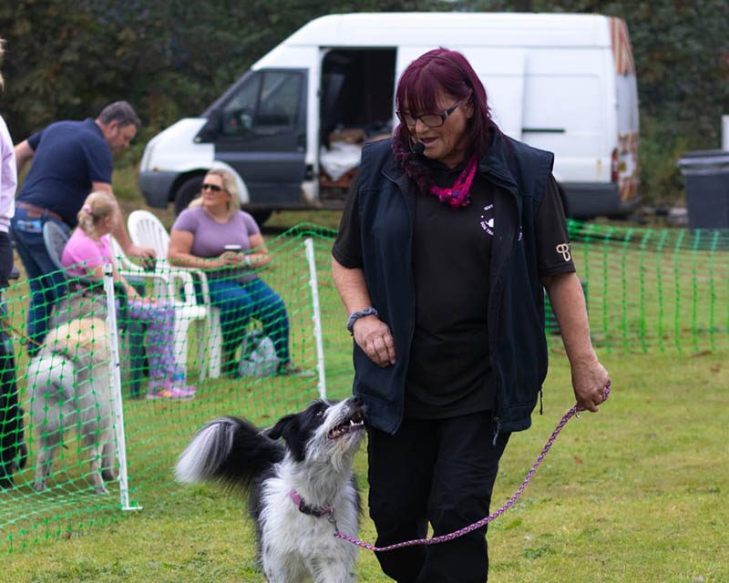 Successful Fun Show for Dog Training Club