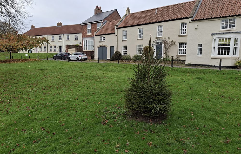 Permanent Christmas Tree for Aycliffe Village