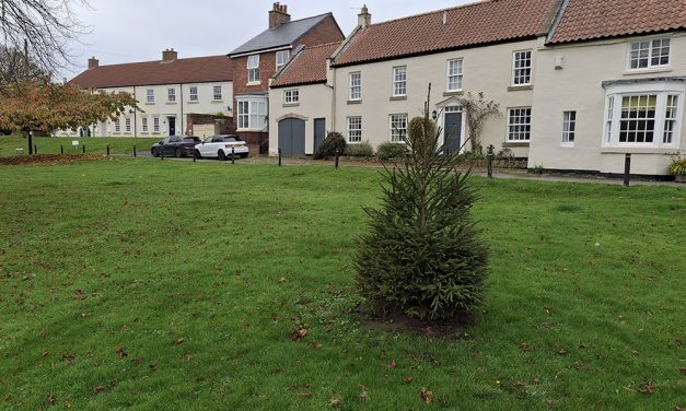 Permanent Christmas Tree for Aycliffe Village