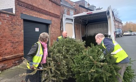 Christmas Tree Recycling